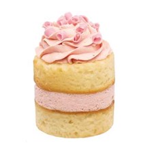 Vanilla Raspberry Cake 3" 11221
