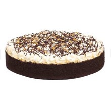 Peanut Butter Pie 10" 33160