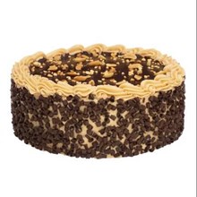 Chocolate Peanut Butter Cake 3 Layer 10" 11070